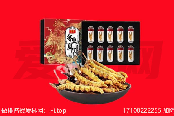华容区回收虫草.jpg